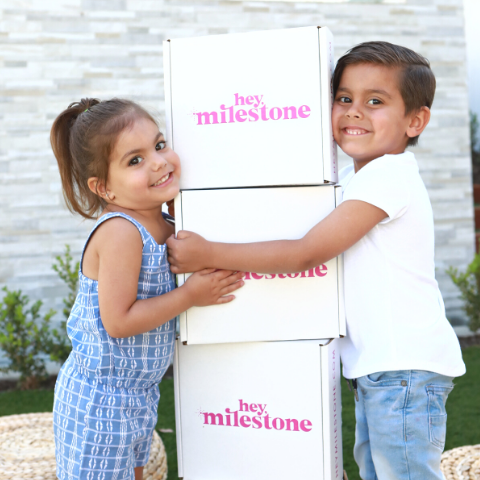 Hey Milestone Family Nutrition Sample Box