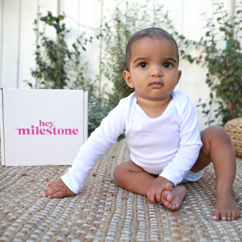 hey milestone family wellness sample box