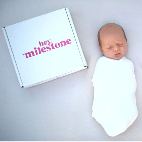 hey milestone newborn sample box